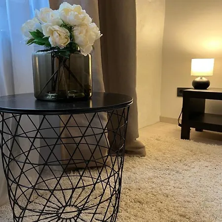 Ringi 1 Centre Apartment Parnu